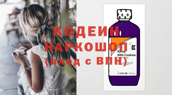 гашик Нея