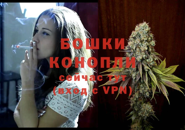 индика Навашино
