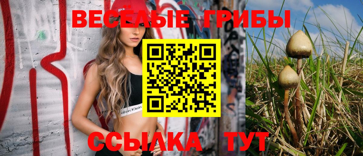 Псилоцибиновые грибы GOLDEN TEACHER  Вход с VPN  Похвистнево 